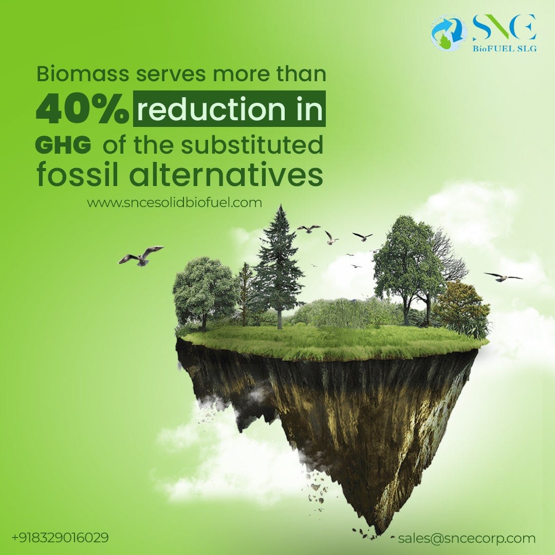 What is Biomass Definition, Types, Usage, Advantages and more by Sai Non Conventional Energy