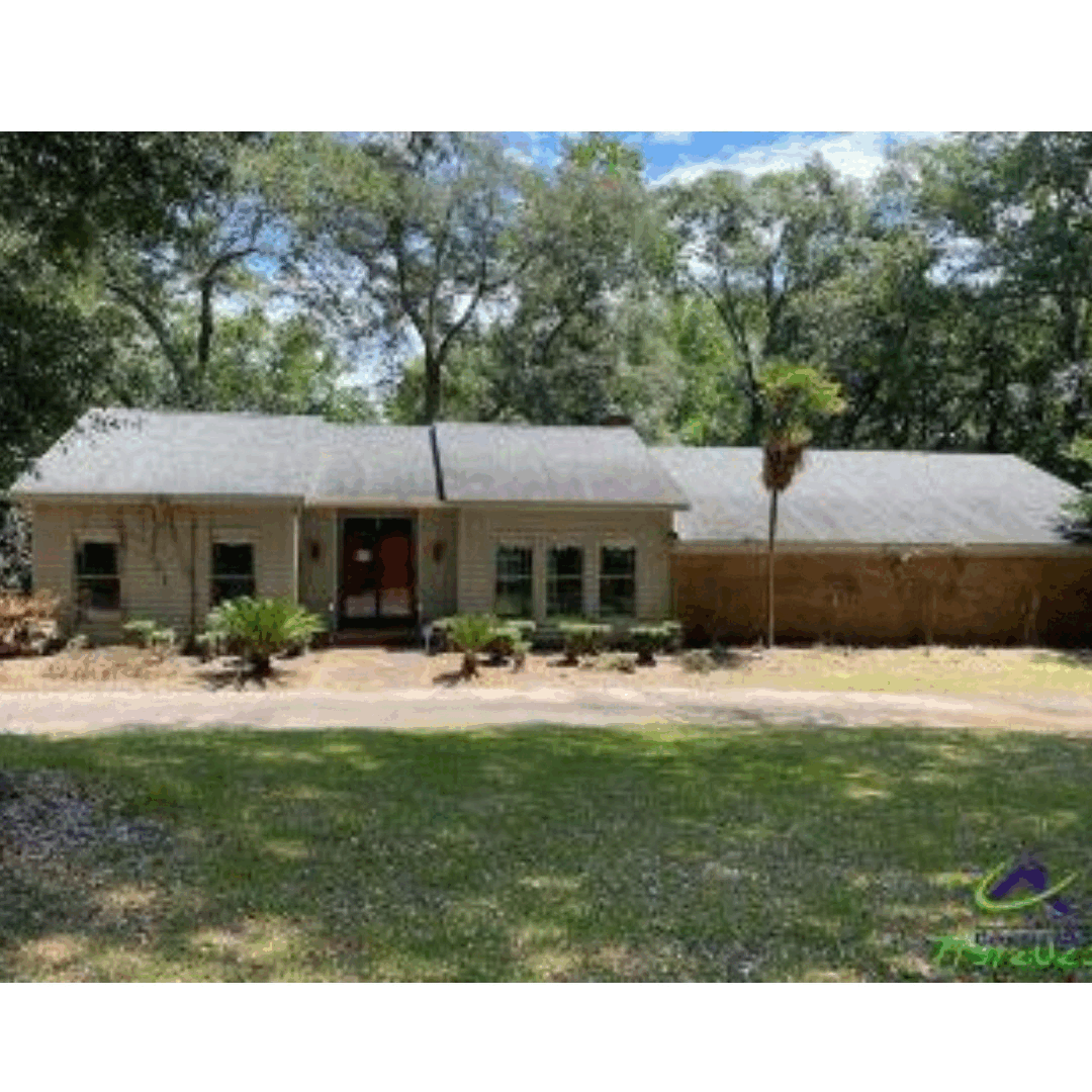 Discover the Best commercial real estate for sale Warner Robins Connie Cannon farmer Medium