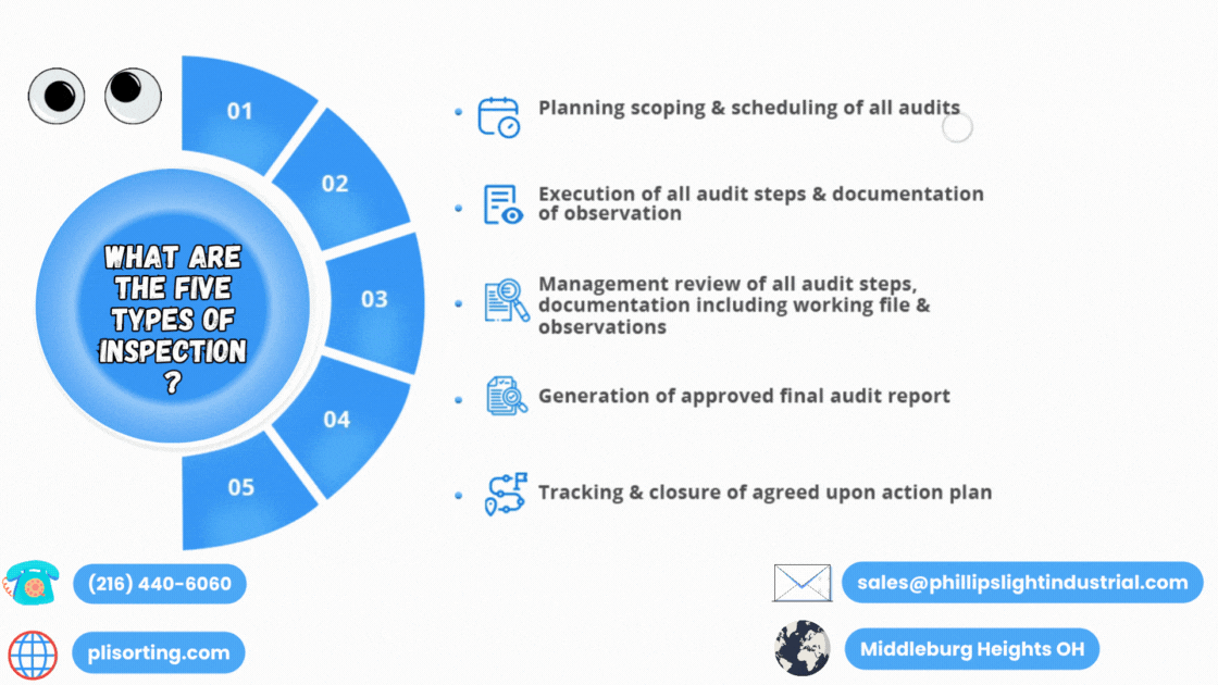 What are the five types of inspection? by PLI Sorting Medium