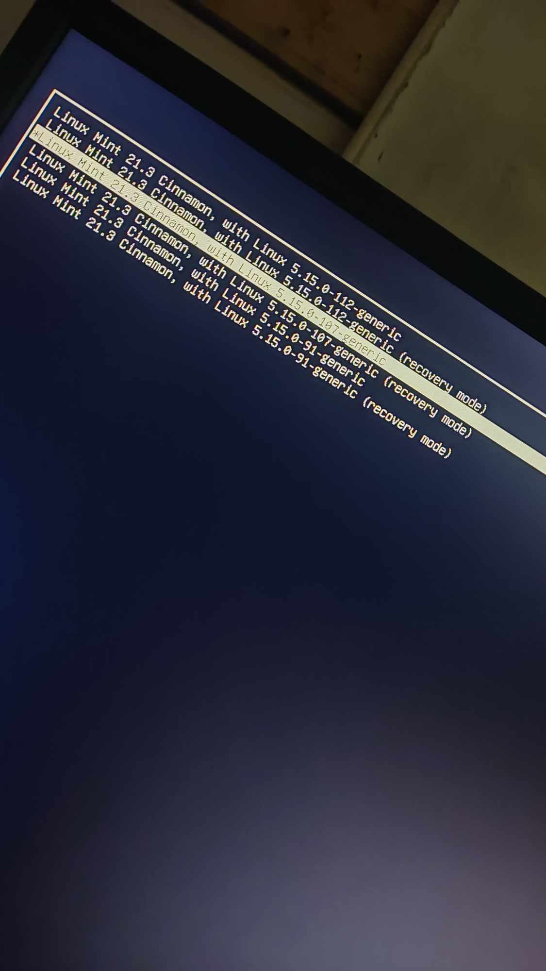 How to fix Linux mint Black Screen / Boot Failure by Anubis Jun
