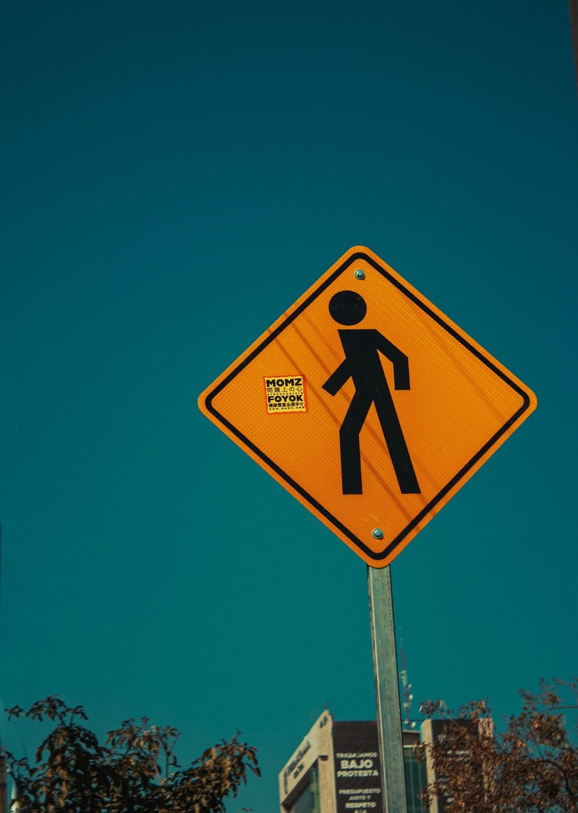 The Ultimate Guide to Choosing the Best Signage Company in Your Area