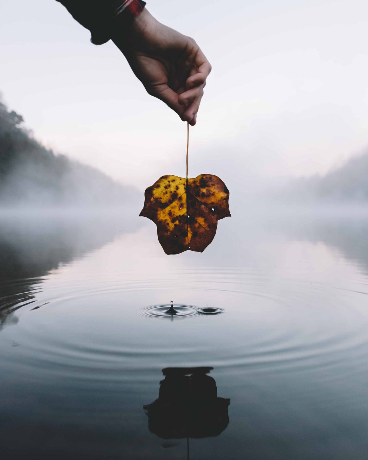 Settle * Submerge