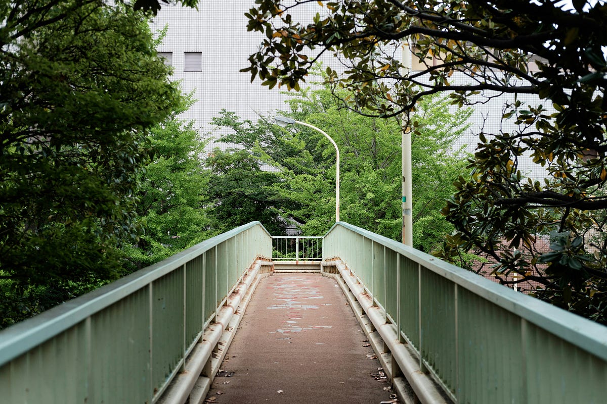 10 Python Shortcuts That Make Me Code Like a Wizard 🧙‍♂️🐍 | by ...