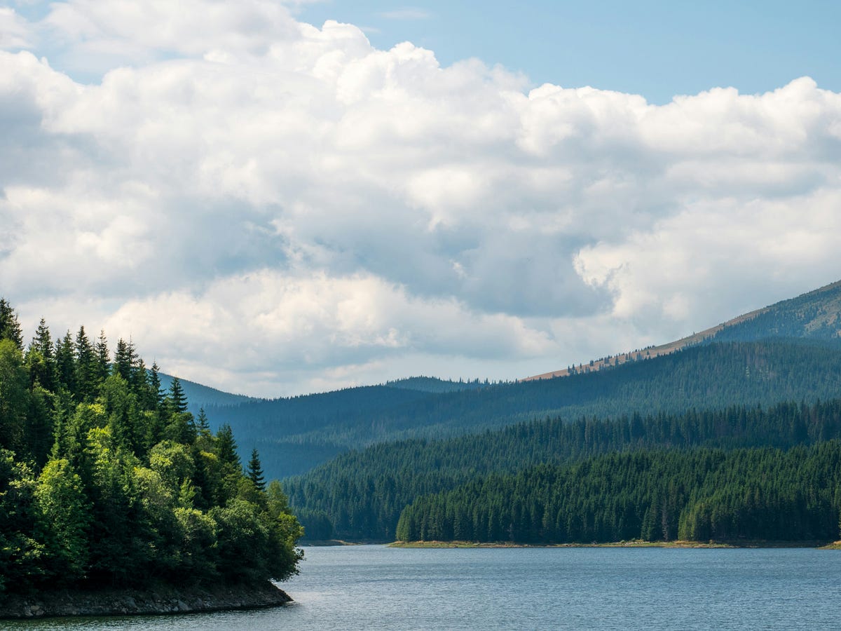 Python Quick Reference - Charles Wan - Medium