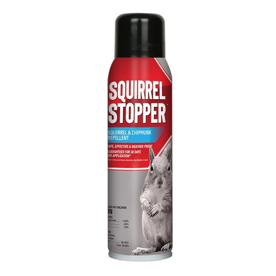 Squirrel Repellent Sprays | by Amber George | Medium