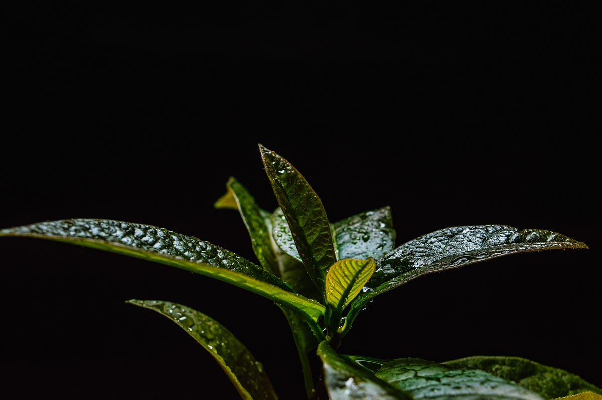 Atmospheric Economy: Towards the Next Generation of Carbon Accounting