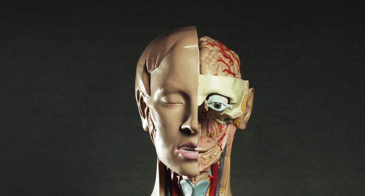 Get ready for a biocomputer powered by human brain cells. | by Piotrmak ...