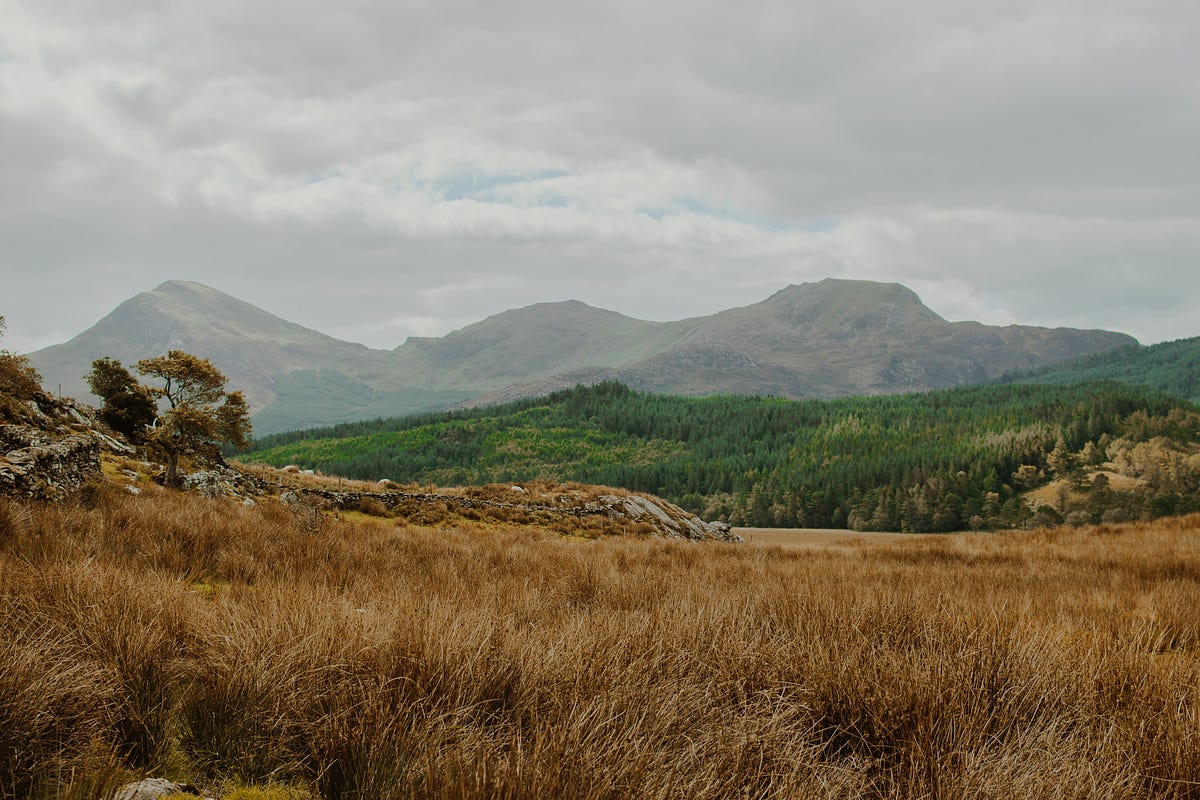 How to develop a frontend scaffolding? by Dwen JavaScript in Plain