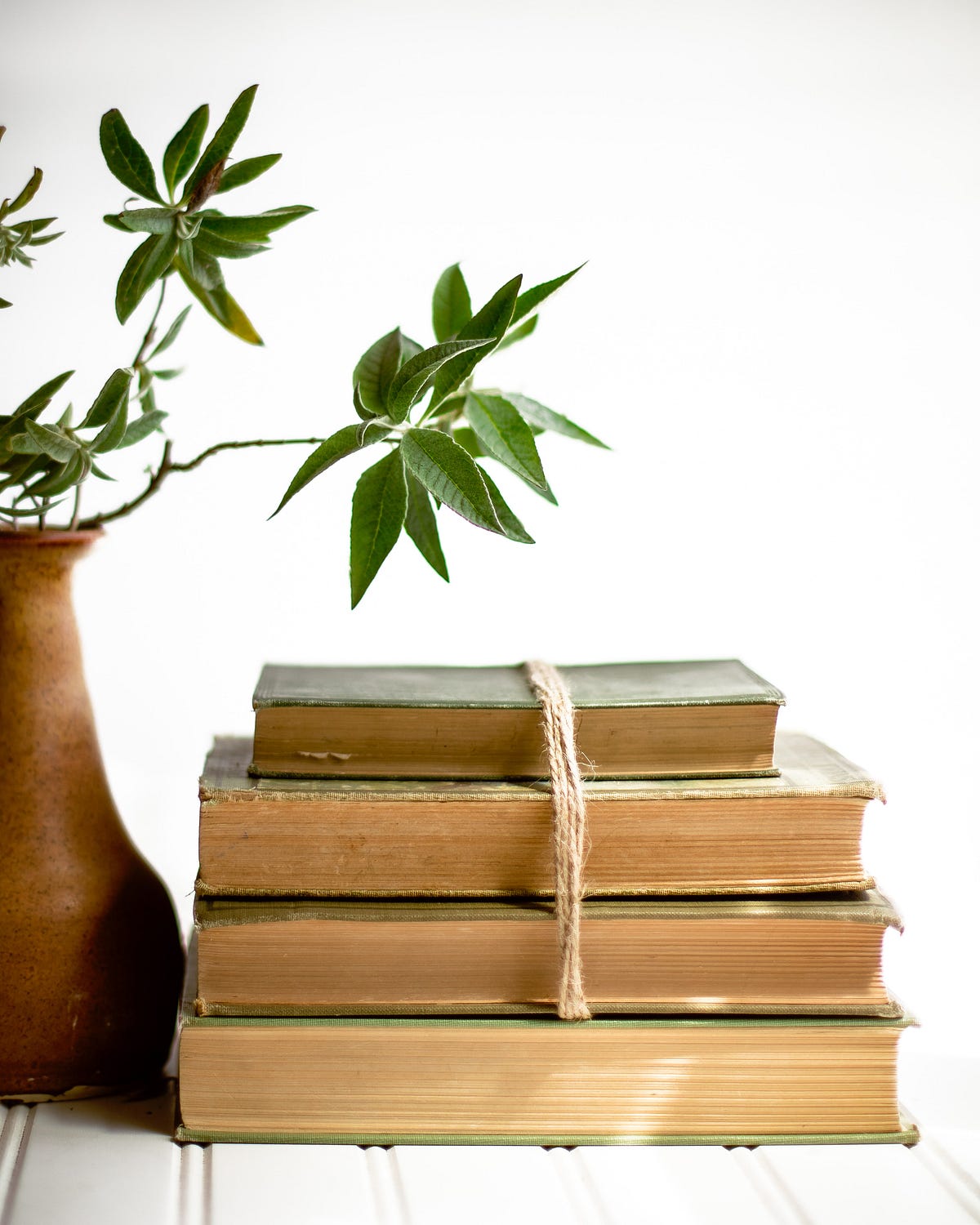 Three Book Recommendations for Struggling Parents | by Erin Boyle | Medium