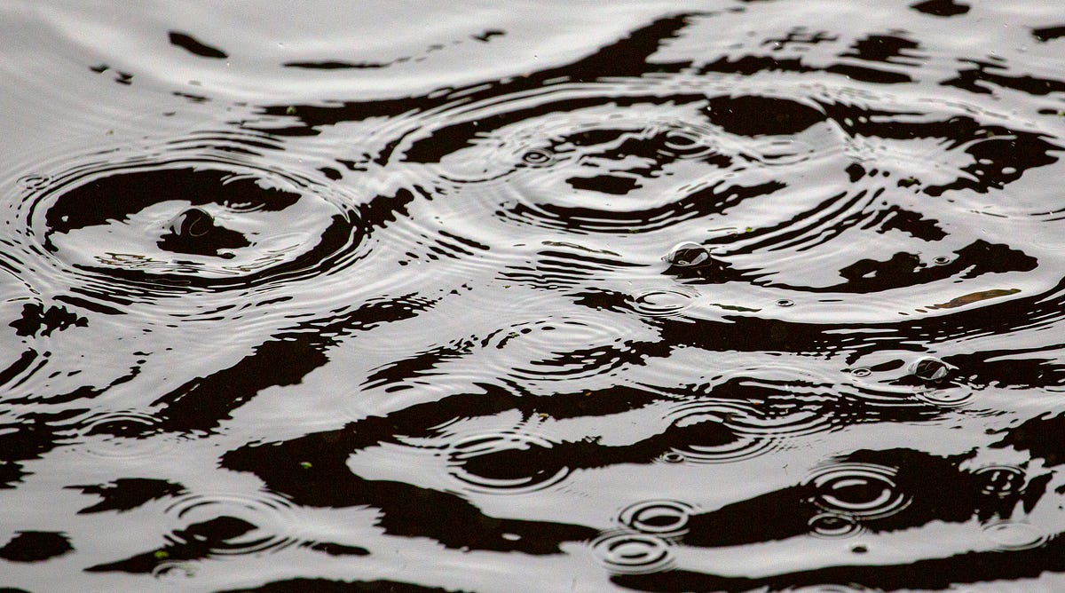 The Ripple Effect of Stress: Understanding its Contagious Nature | by H ...