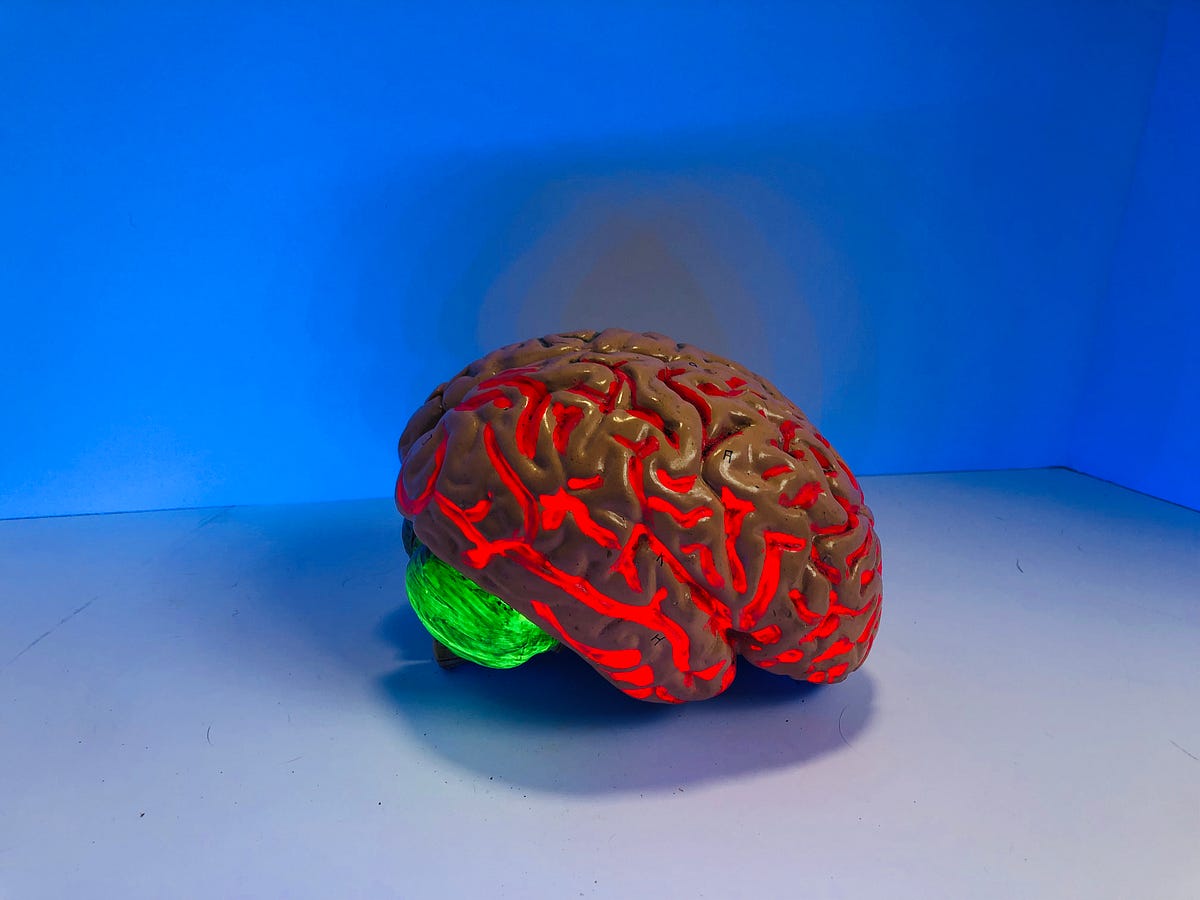 Build Your Own Neural Network From Scratch In Python | by Aditya Cotra ... image.