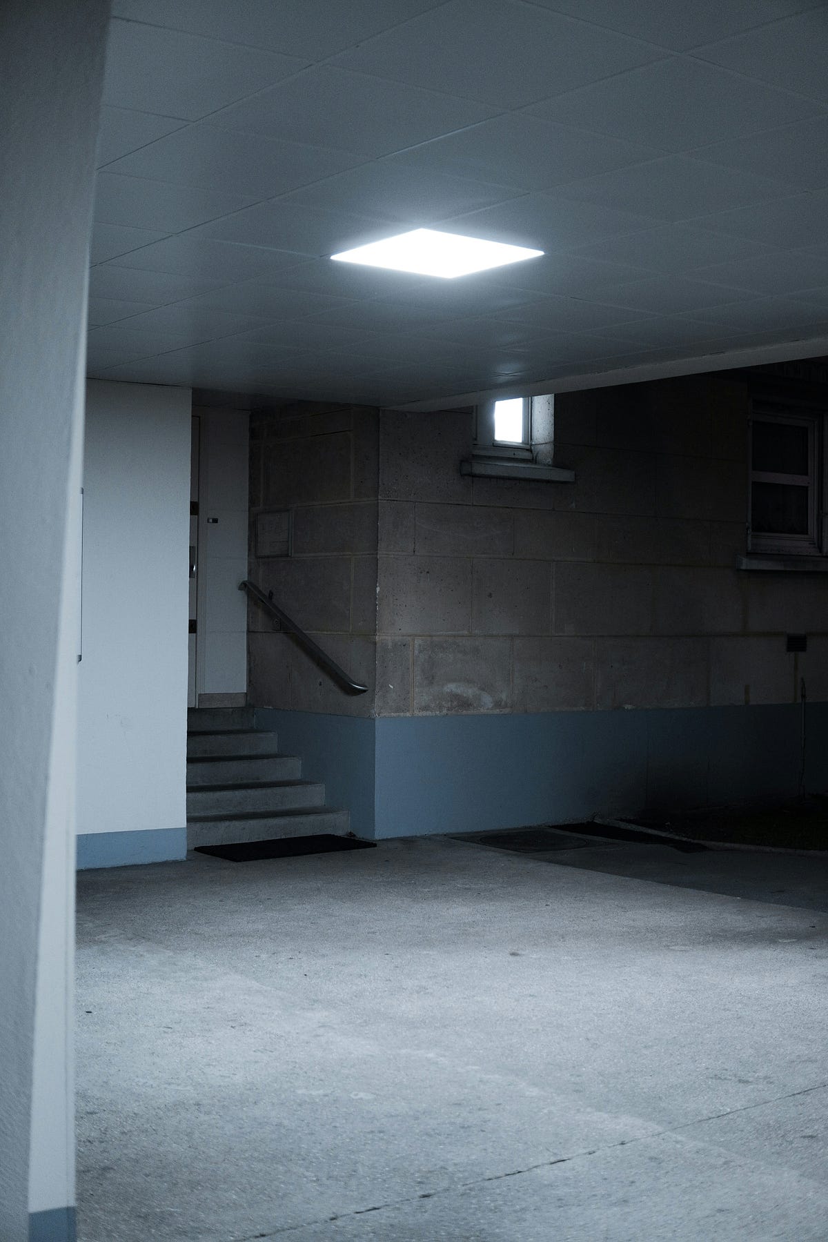 The Secret Basement. After a flood, a house reveals a hidden… by