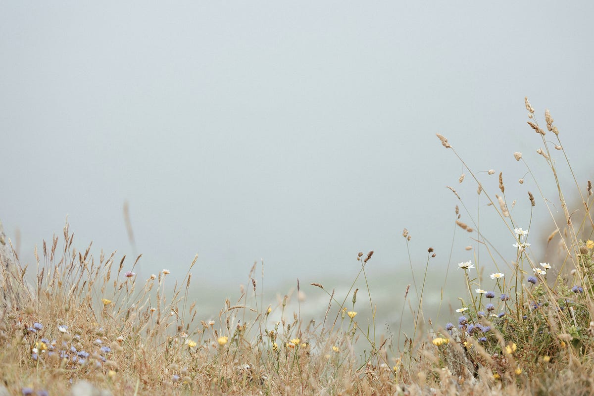 How Long Does It Take to Receive Medium Payouts in Nigeria