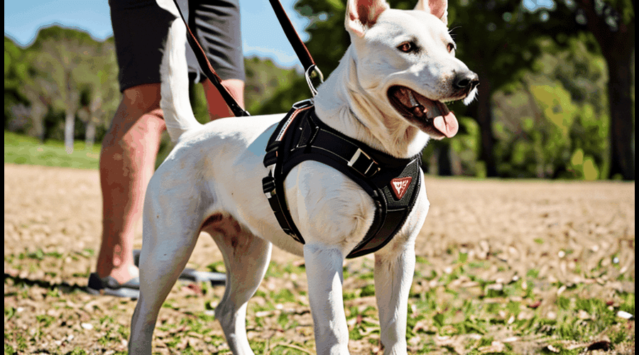 Ezydog Harness by Emery Lawson Medium