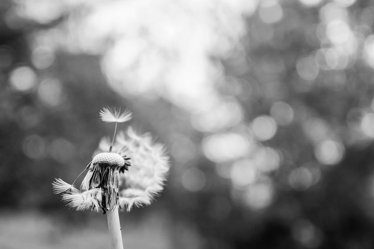 “Make it exist first : Even if it’s messy” | by Hridayataa | Medium