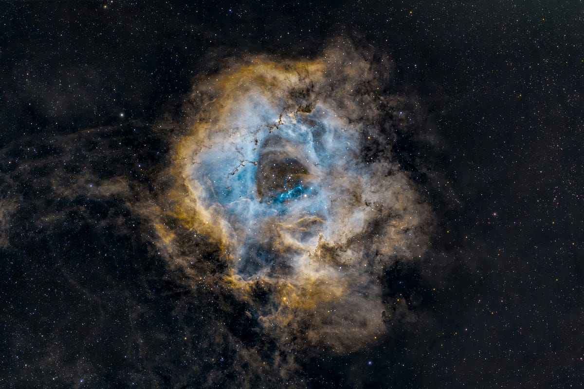 God’s favourite | by Sandhya Rathod | Aug, 2024 | Medium