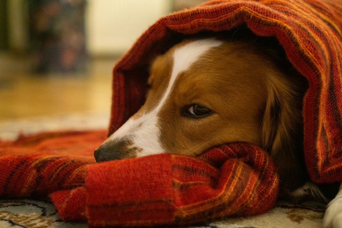 Why is nothing working out for you by sauravkvaish medium