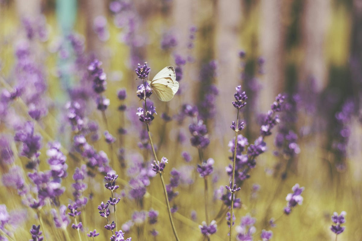 Complete Guide to SQL Join Using MyBatis and Spring Boot by Ahmad