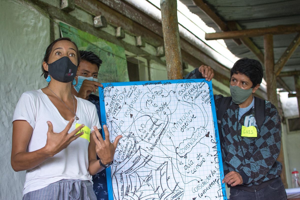 Co-Creating a Seafood System Vision in the Galápagos Islands Biology Diagrams