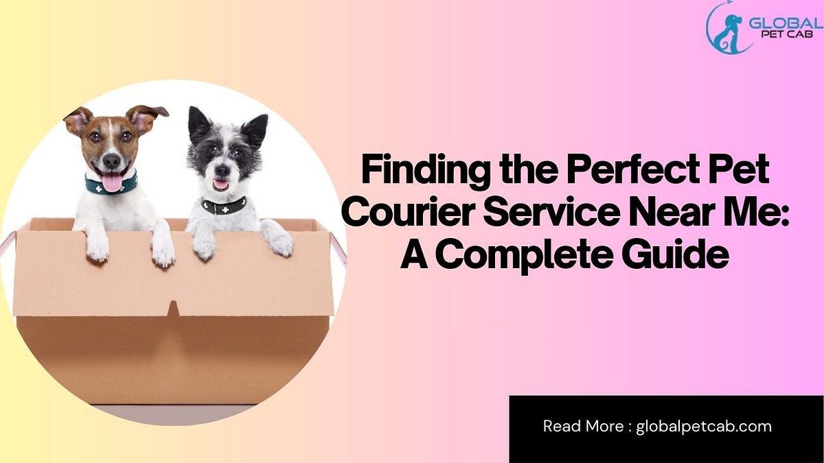 Finding the Best Pet Courier Service Near You A Complete Guide by