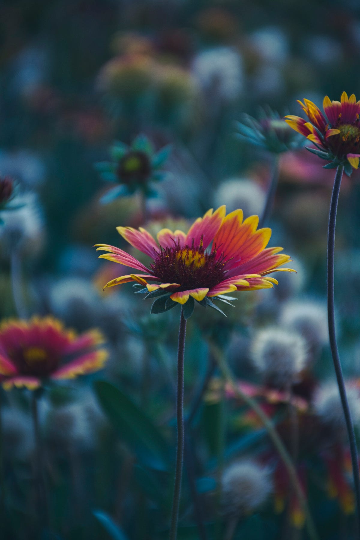 Poetry Writing Prompts — Week Thirty-Nine | by Chelsea Marie | The ...