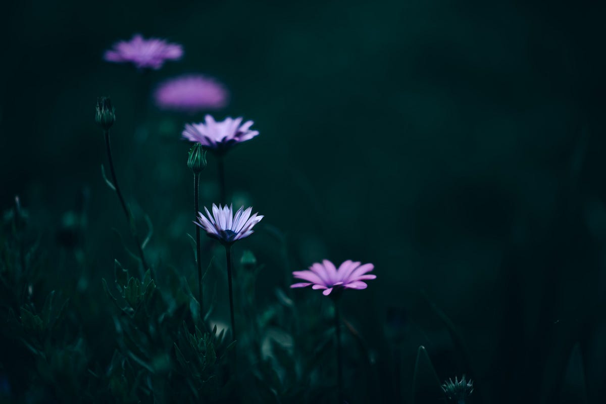 Diamond Splinters: Part III | by Erika Noble | The Junction