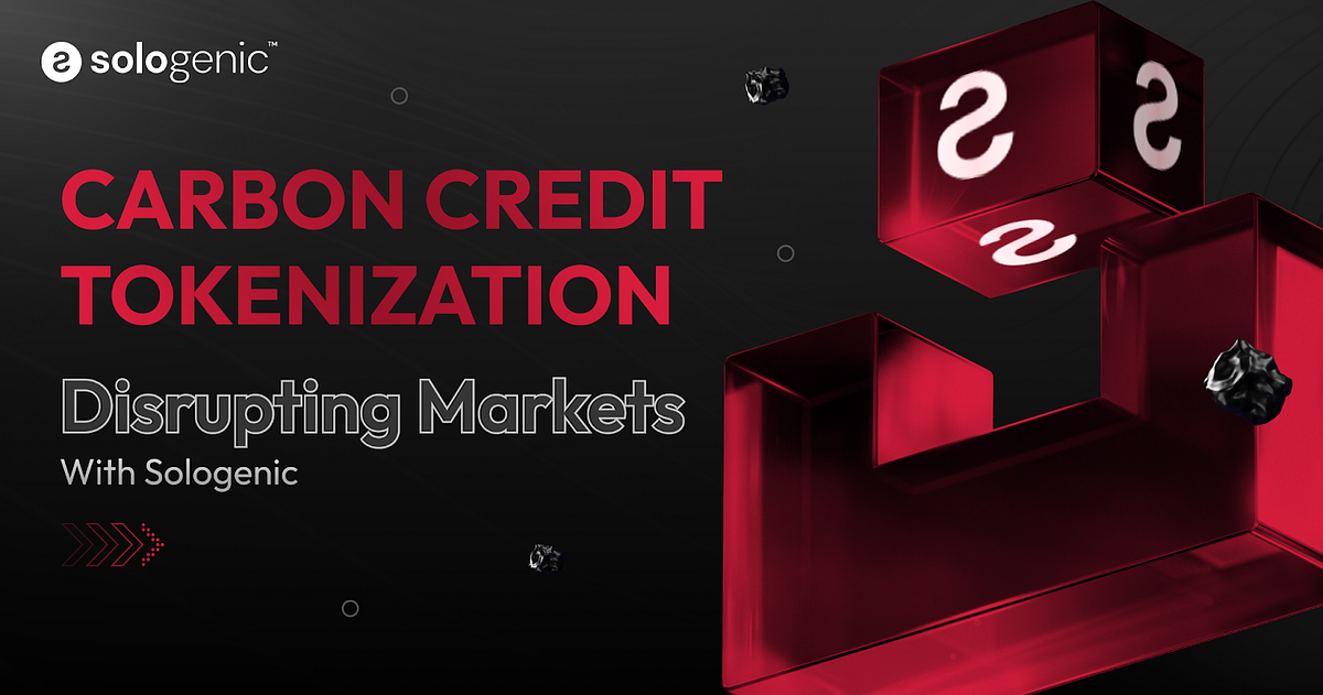A Tokenized Environment: Rethinking Carbon Credit Markets