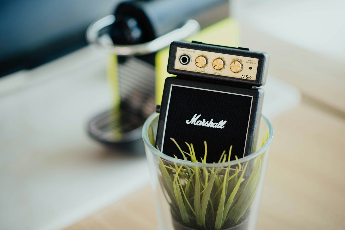 Planting Sounds. Music and Plants Interaction | | Ride The Wave