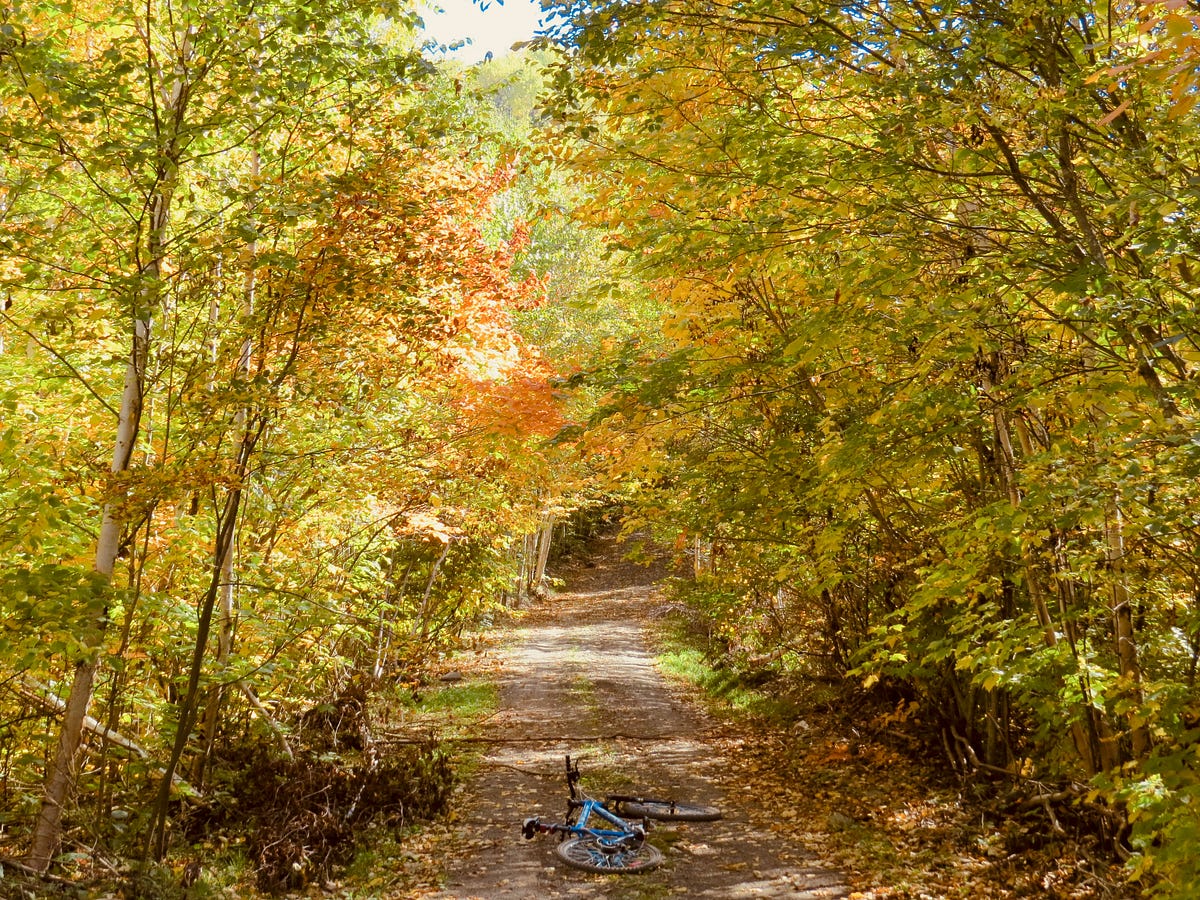 Nova Scotia’s Best Beginner Mountain Biking Trails by GTMTB Sep