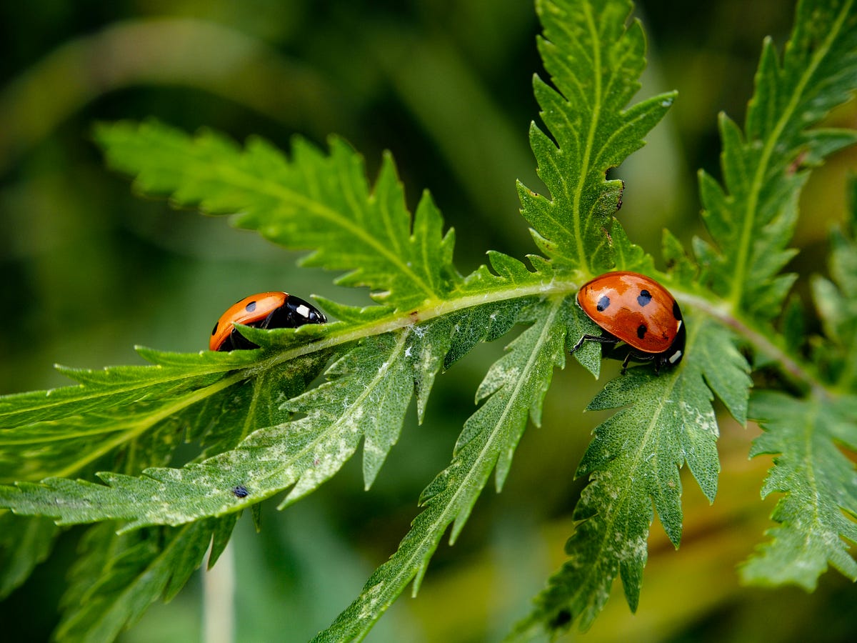 iOS Unit Testing: Write Tests That Actually Catch Bugs | by Chandra ...