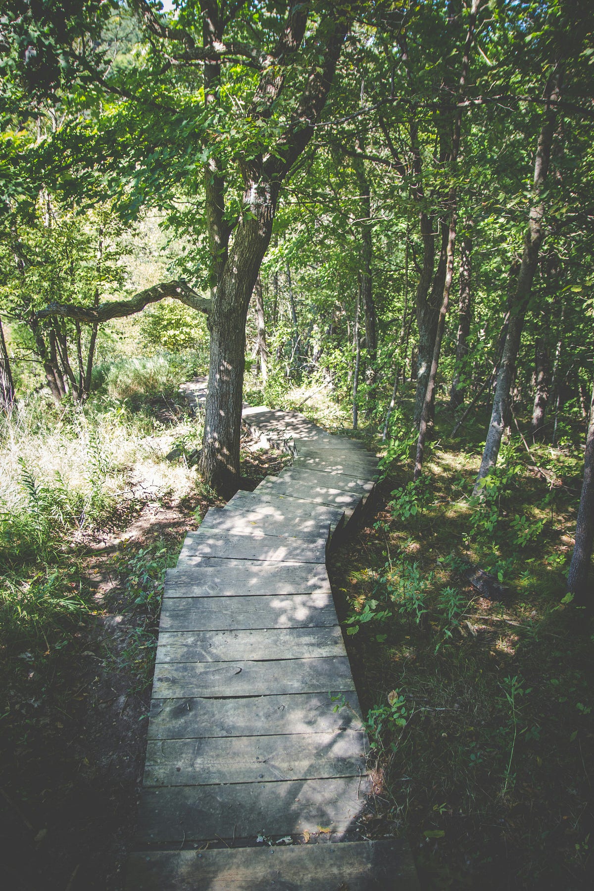 Finding Your Life Path in Your 20s, 30s, and Beyond: A Guide to Self ...