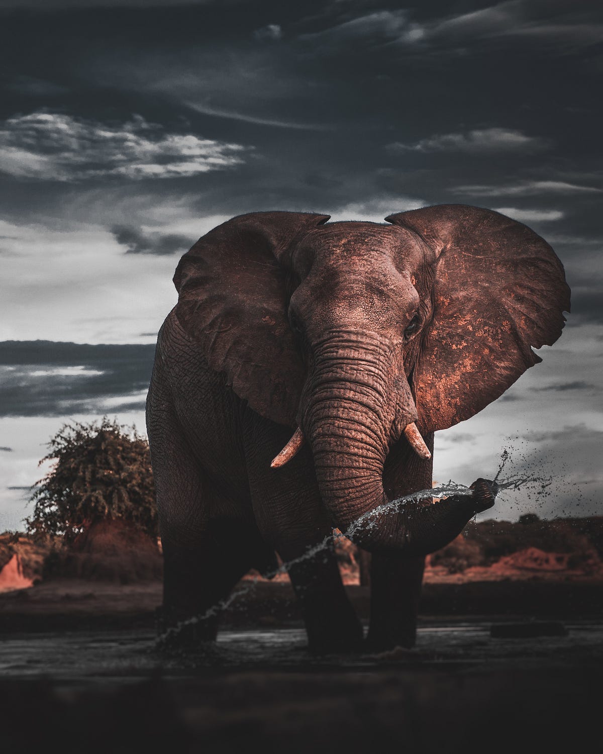 Big Data Processing with HADOOP and SPARK in Python on COLAB | by ... image.