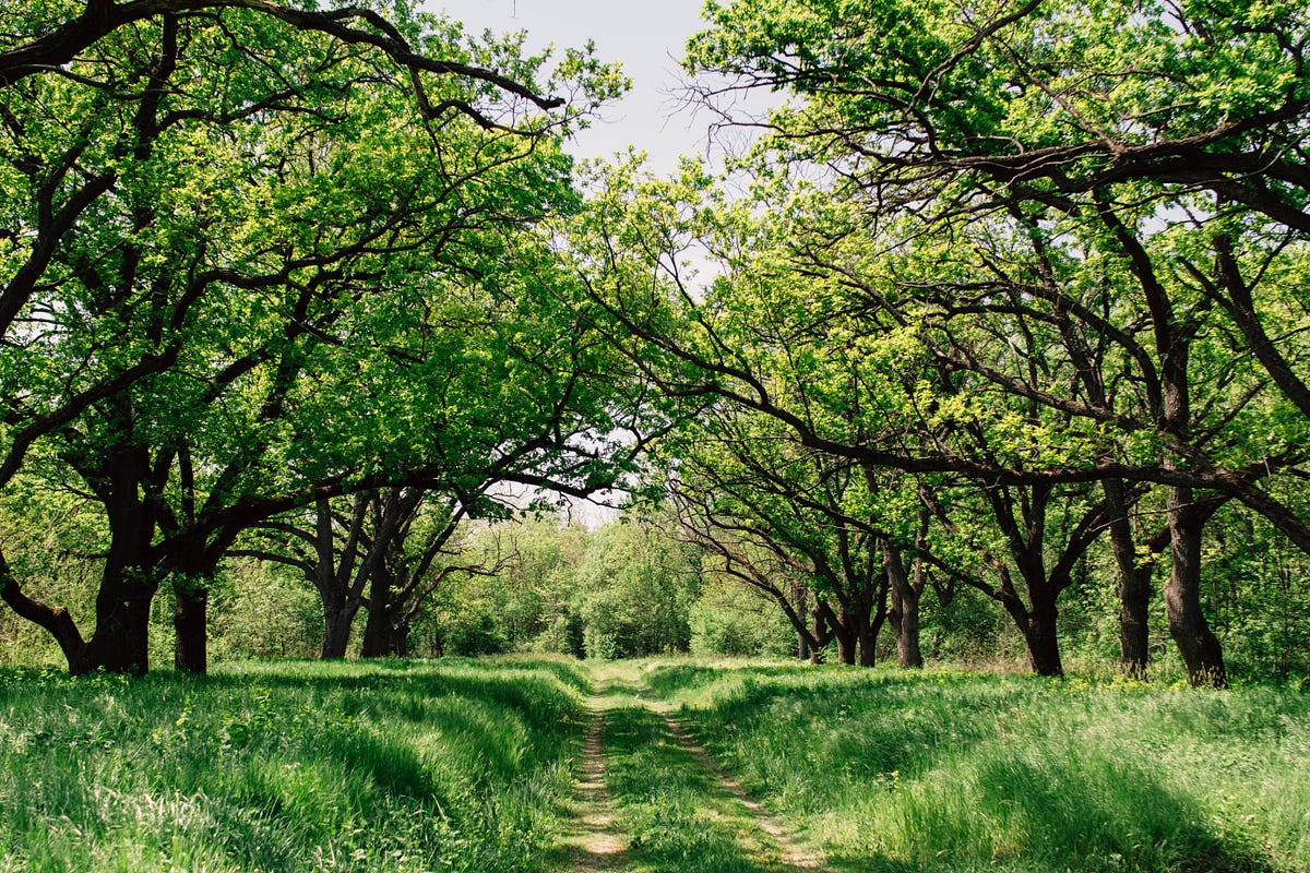Why Spring framework is so cool. For several years Spring is