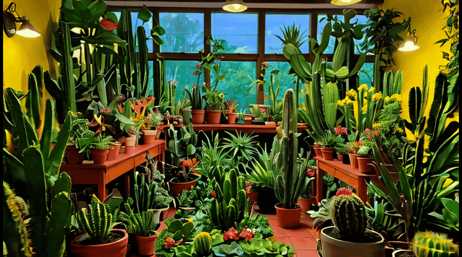 Cactus House Plants, by Stella Price, Mar, 2024