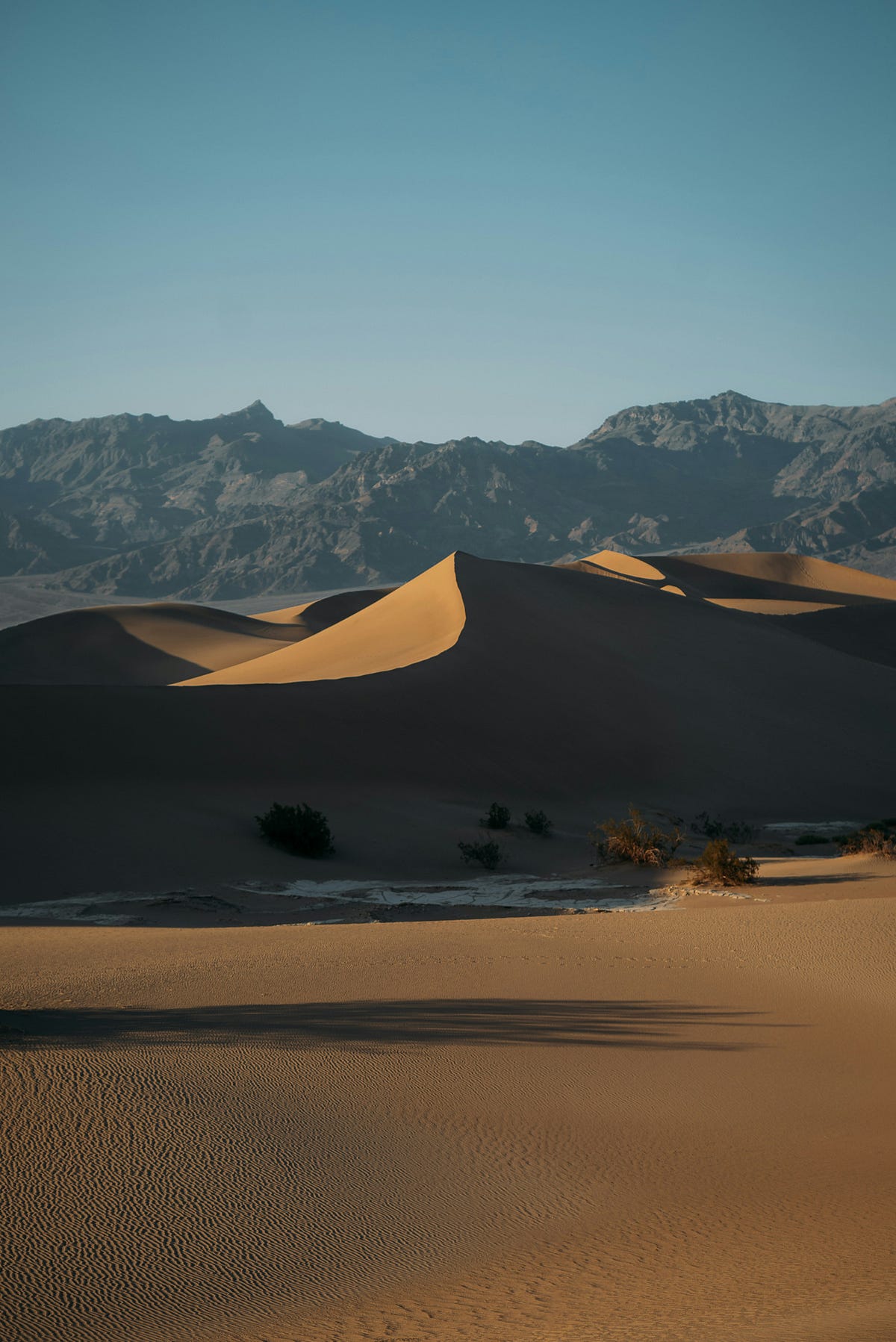 Desert Solitude. My first encounter with the peaceful… | by James ...