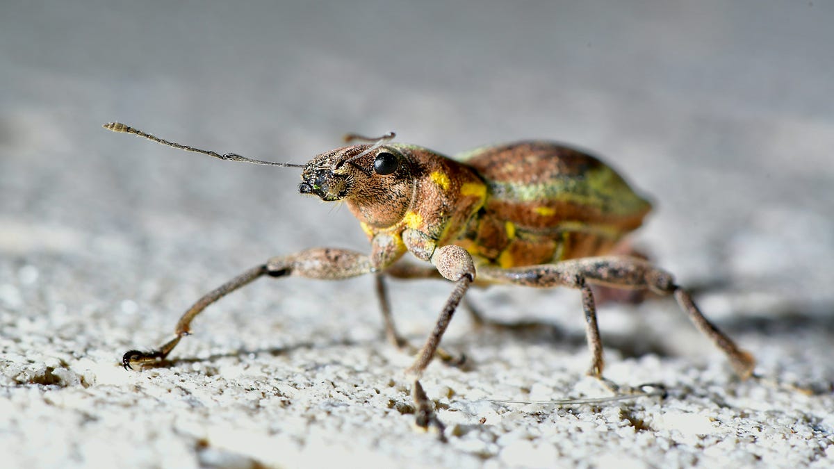 The Silent Killers of Your Code: Hidden Bugs That Slip Through Testing ...