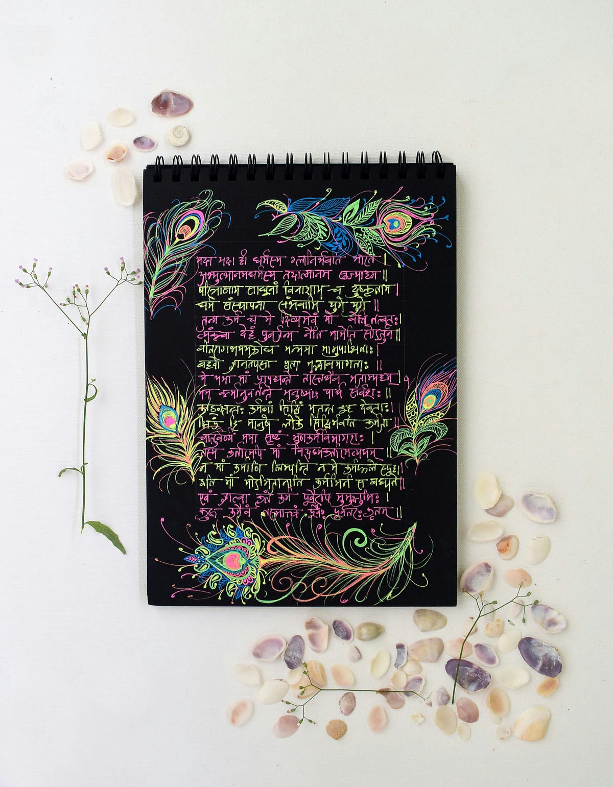 These 5 shlokas of gita explain entropy and the universe by the cyber