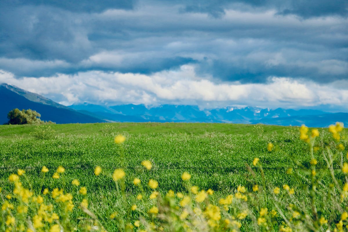 Can you hear the whisper of spring? Take a break and immerse yourself in  the uplifting essence of spring! #SpringVibes #NewBeginnings #n