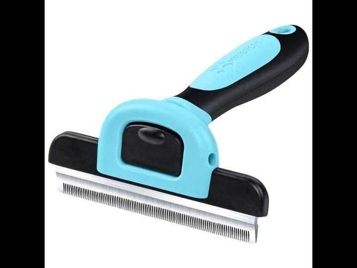Beautiful view of Best Deshedding Tool For Short Hair Collies