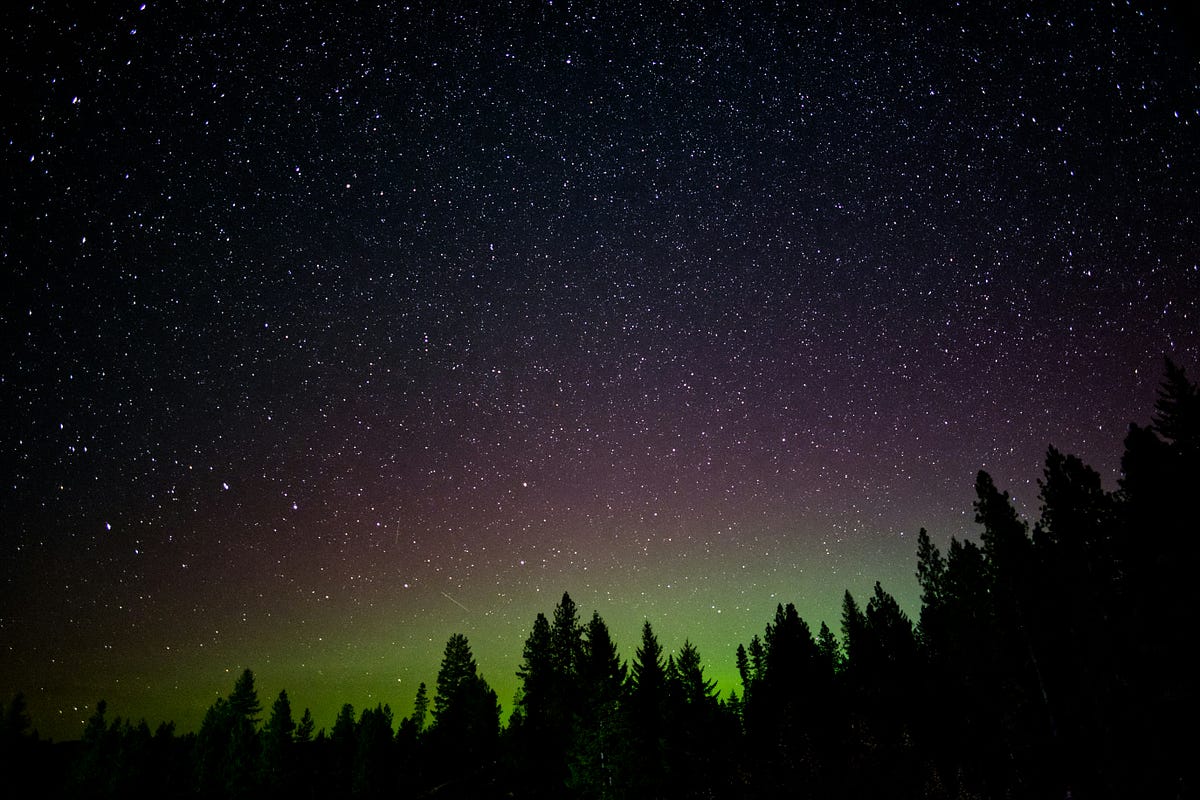 Little Star. I wish I could come up with something… | by Sophia | Nov ...