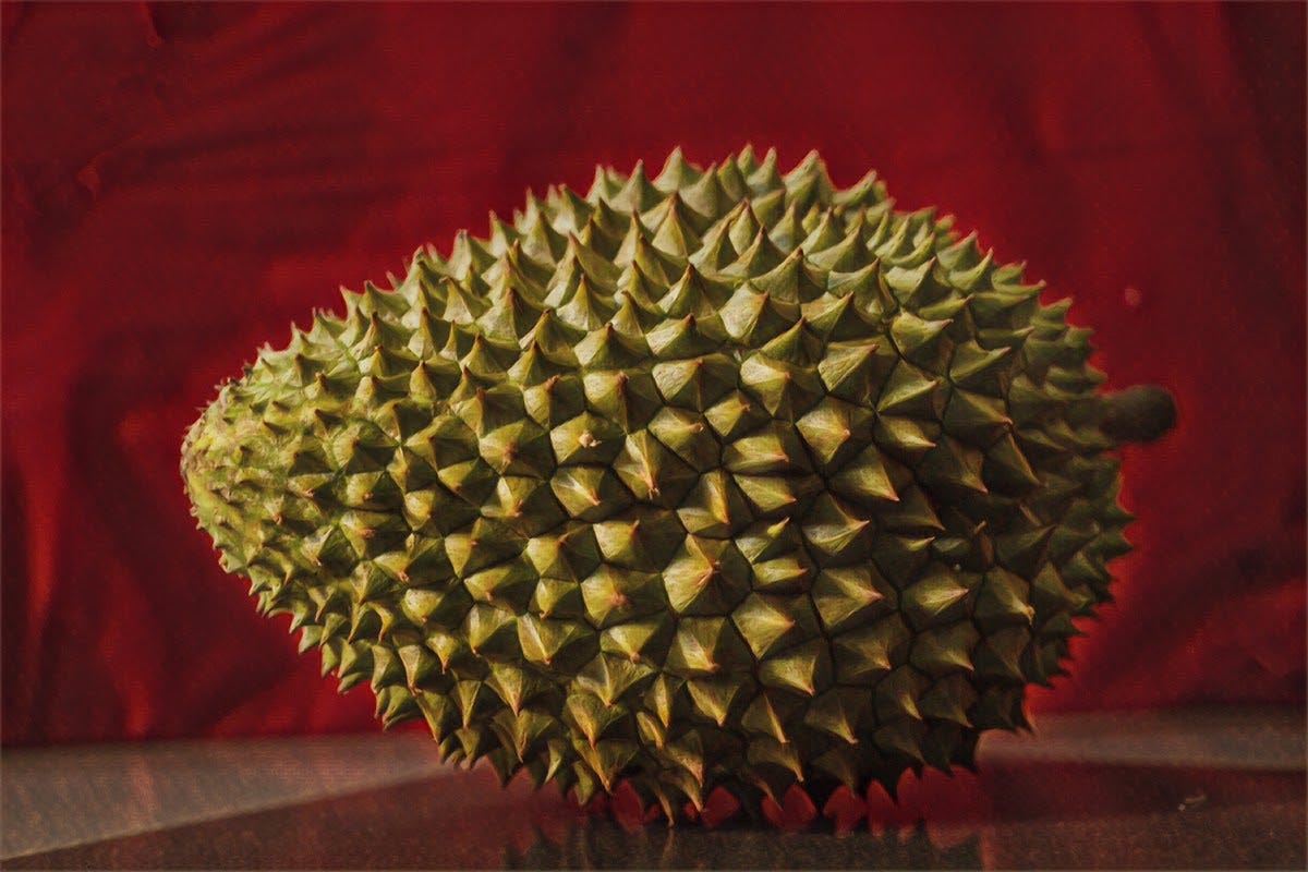 The World’s Smelliest Fruit Can Charge Your Phone by Joe Scaglione The Technical Medium