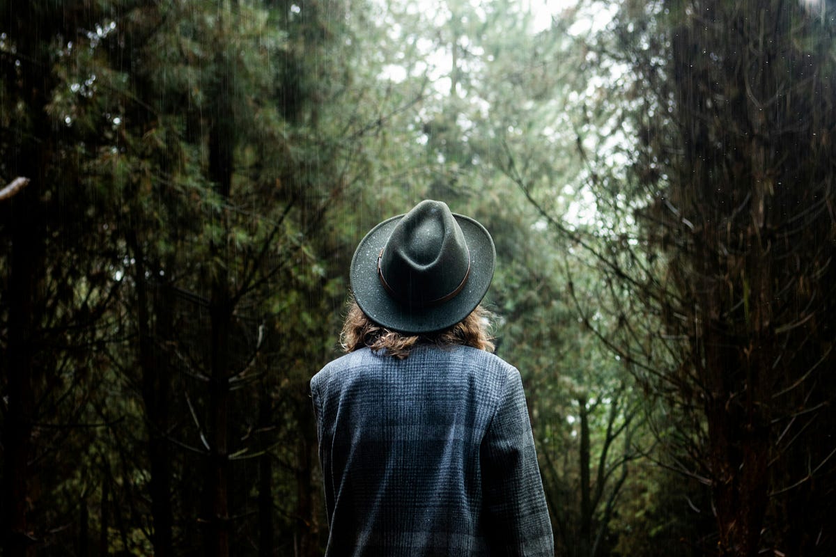 The Healing Power of Forest Bathing | by Sherry Atkinson