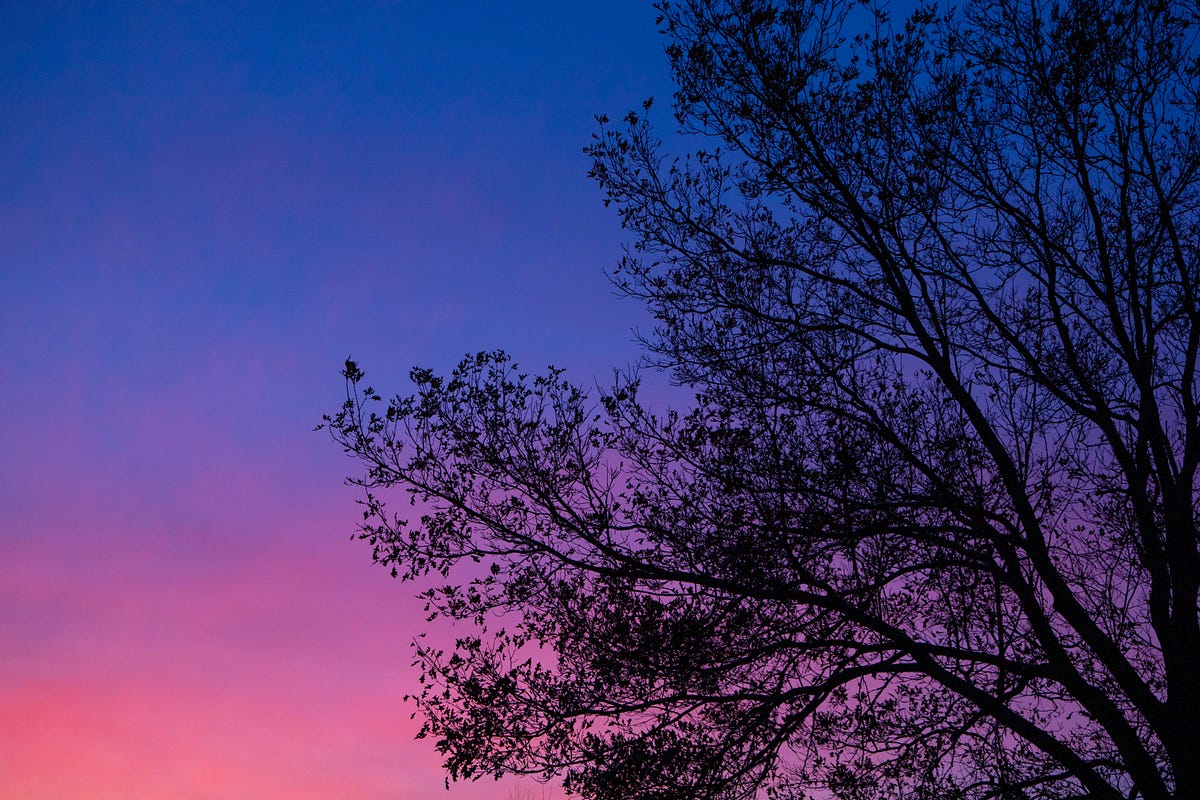 Implementasi CRUD Menggunakan Java Persistance API dan Hibernate ORM ...