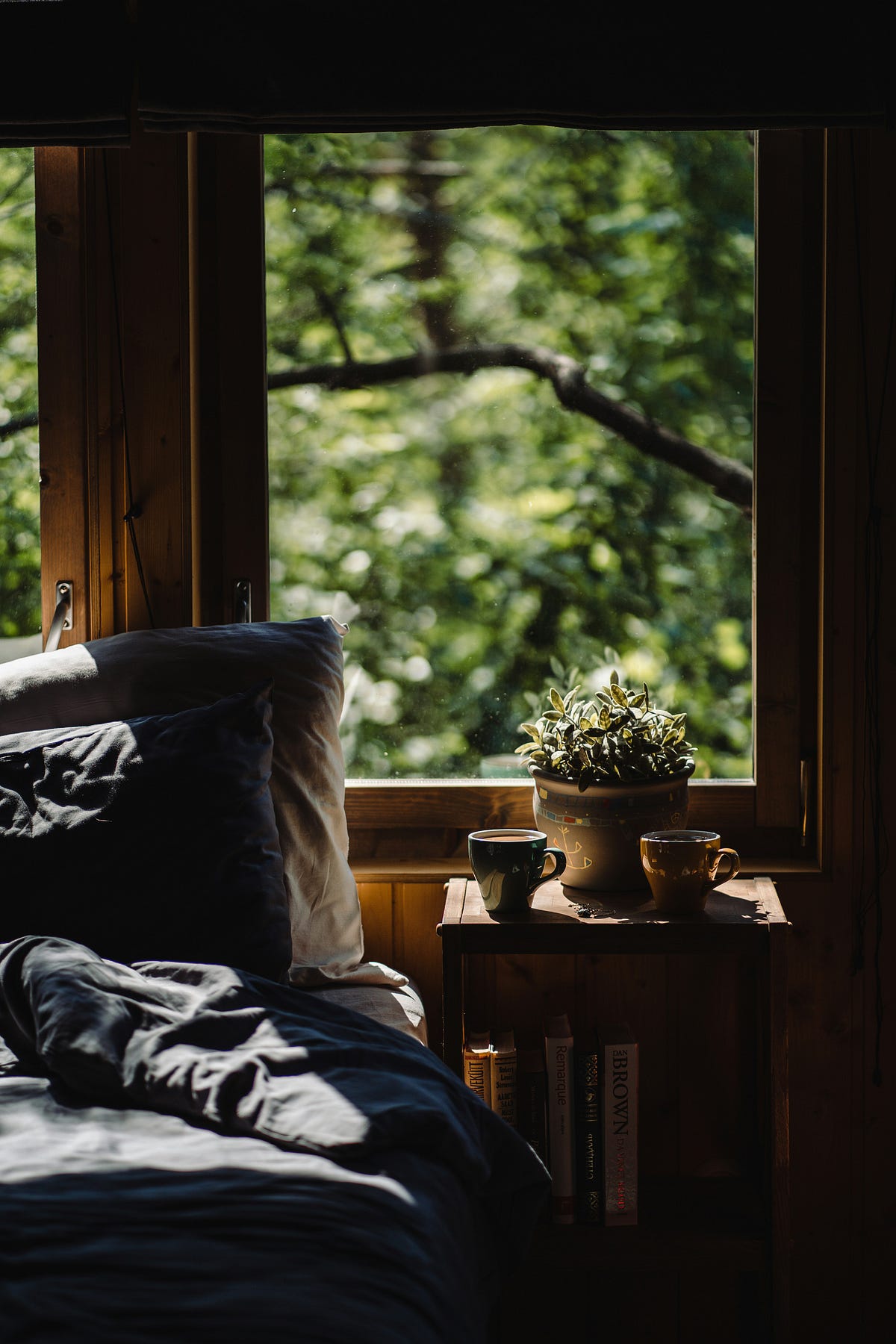 The Cabin