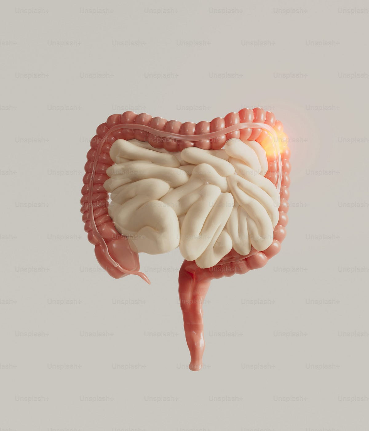 The Gut Brain Axis Explained. A bidirectional system, the gut-brain ...