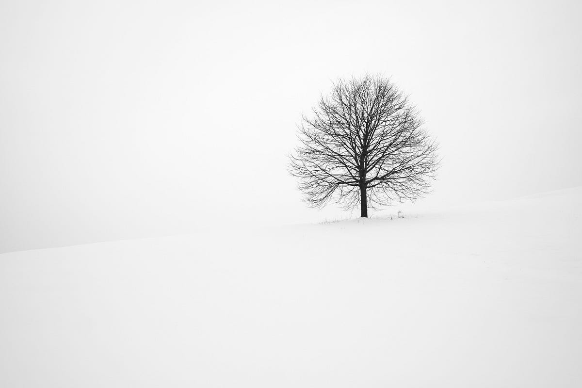 Explaining Anomalies with Isolation Forest and SHAP