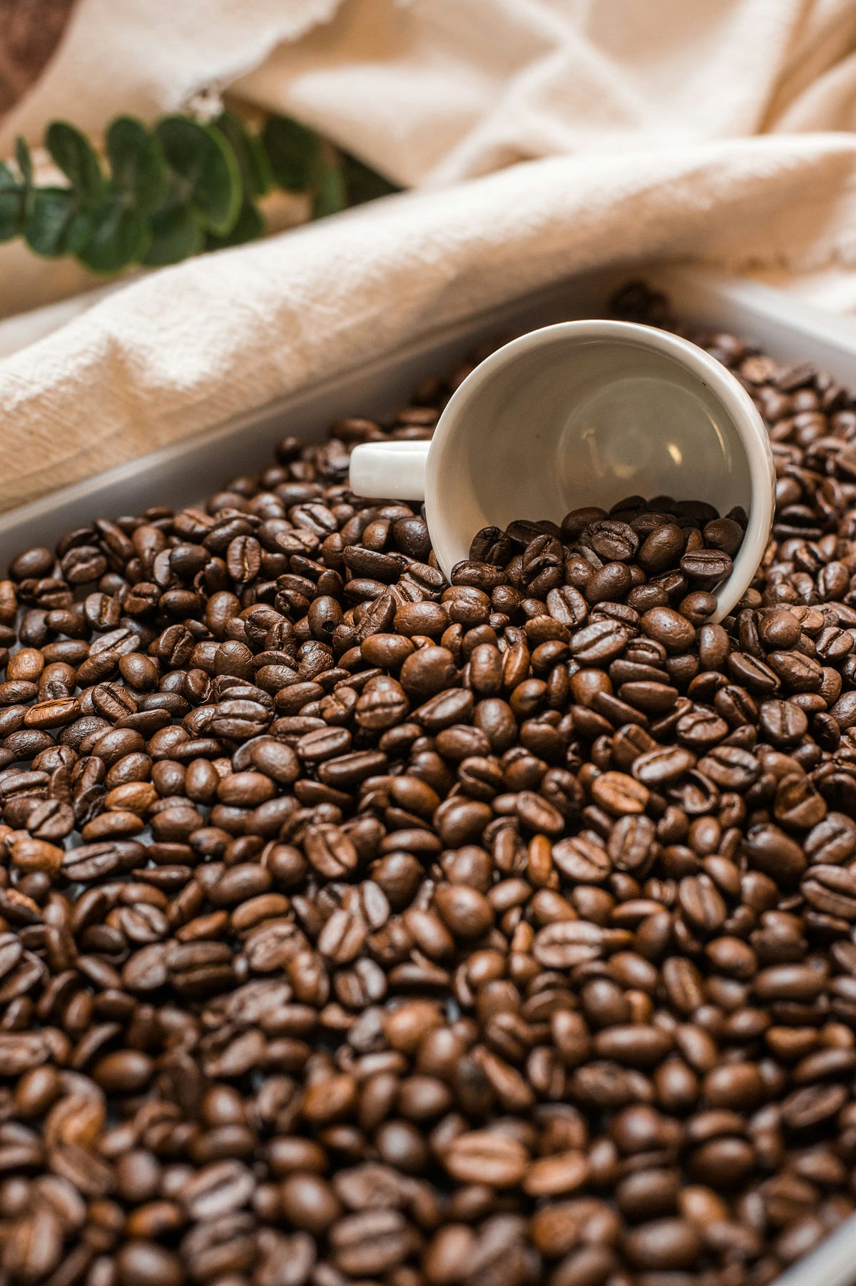 How My Morning Coffee Ritual Taught Me Mindfulness and Productivity