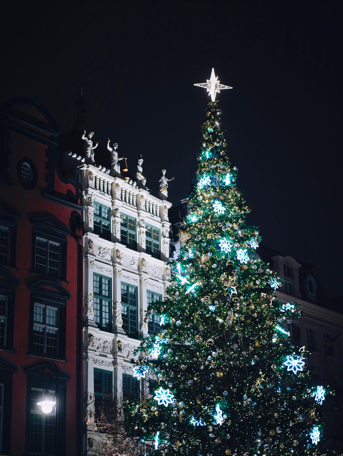 The History Of The Christmas Tree 