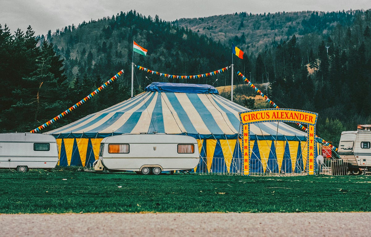 Bread And Circuses. Pick Of The Day — 9th October 2024 by John Pearce