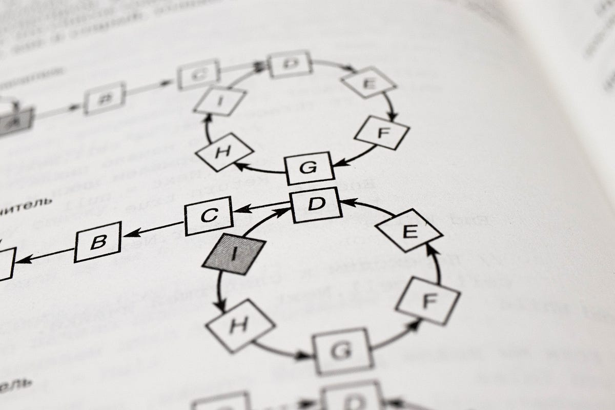 From raw text to model prediction in under 30 lines of Python | by ...